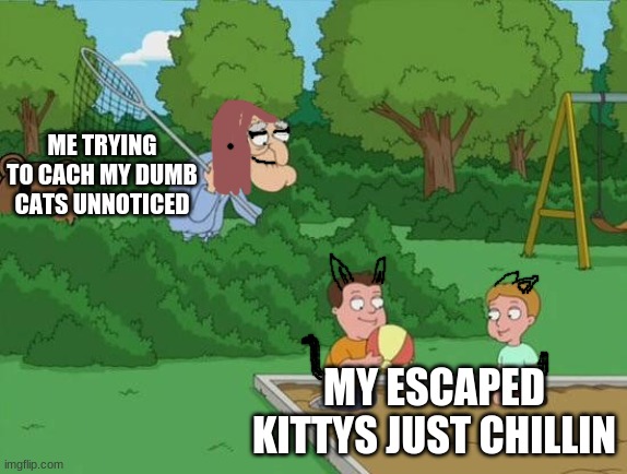 Herbert Pervert | ME TRYING TO CACH MY DUMB CATS UNNOTICED; MY ESCAPED KITTYS JUST CHILLIN | image tagged in herbert pervert | made w/ Imgflip meme maker