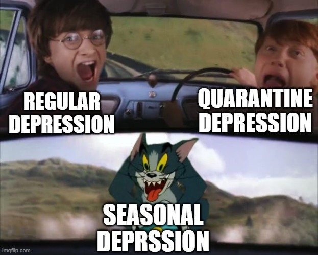 Depression 1000 | QUARANTINE DEPRESSION; REGULAR DEPRESSION; SEASONAL DEPRSSION | image tagged in tom chasing harry and ron weasly | made w/ Imgflip meme maker