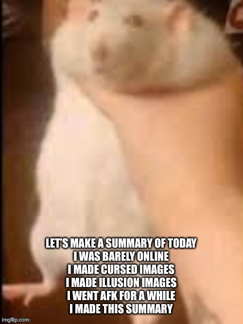 Man holding hamster | LET’S MAKE A SUMMARY OF TODAY
I WAS BARELY ONLINE
I MADE CURSED IMAGES
I MADE ILLUSION IMAGES
I WENT AFK FOR A WHILE
I MADE THIS SUMMARY | image tagged in man holding hamster | made w/ Imgflip meme maker