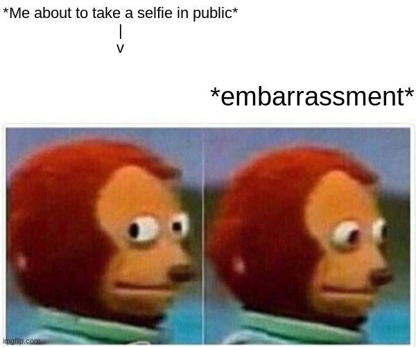 Monkey Puppet | *Me about to take a selfie in public*
|
v; *embarrassment* | image tagged in memes,monkey puppet,you can't handle the truth | made w/ Imgflip meme maker