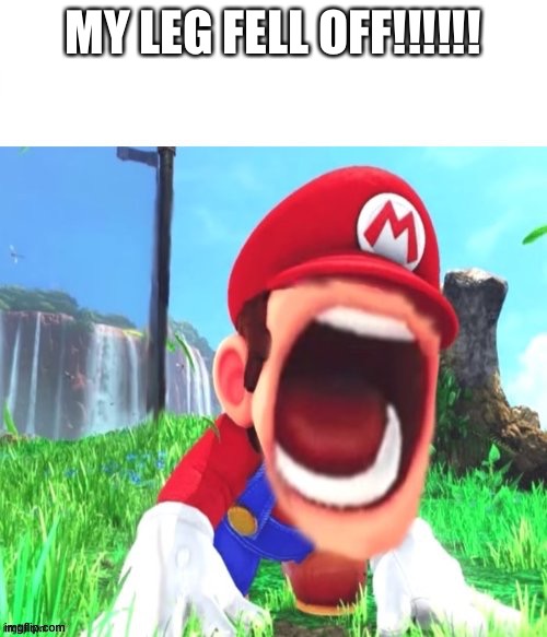 mario screaming |  MY LEG FELL OFF!!!!!! | image tagged in mario screaming | made w/ Imgflip meme maker