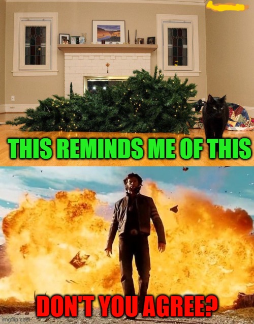 cat's ruining christmas trees remind me of guys walking away from explosions in movies | THIS REMINDS ME OF THIS; DON'T YOU AGREE? | image tagged in guy walking away from explosion,cats,memes,dont you agree | made w/ Imgflip meme maker