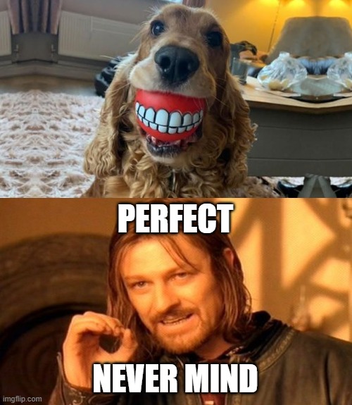 yikes | PERFECT; NEVER MIND | image tagged in memes,one does not simply | made w/ Imgflip meme maker