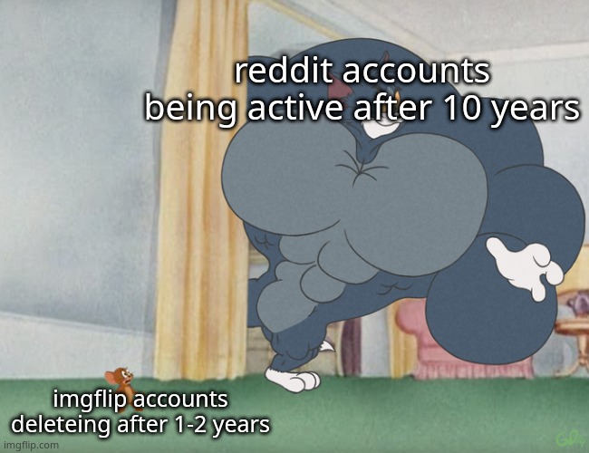Buff Tom and Jerry Meme Template | reddit accounts being active after 10 years; imgflip accounts deleteing after 1-2 years | image tagged in buff tom and jerry meme template | made w/ Imgflip meme maker