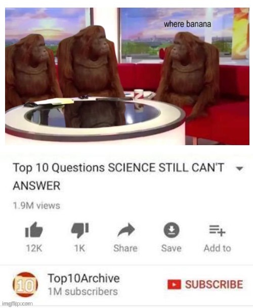 no one knows | image tagged in where banana,top 10 questions science still can't answer | made w/ Imgflip meme maker