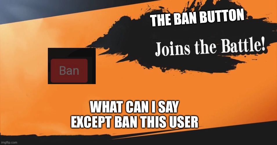 Smash Bros. | THE BAN BUTTON WHAT CAN I SAY EXCEPT BAN THIS USER | image tagged in smash bros | made w/ Imgflip meme maker