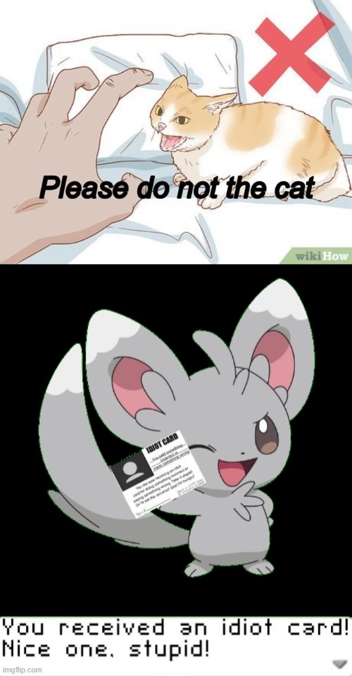 Pokemon You are an idiot 2