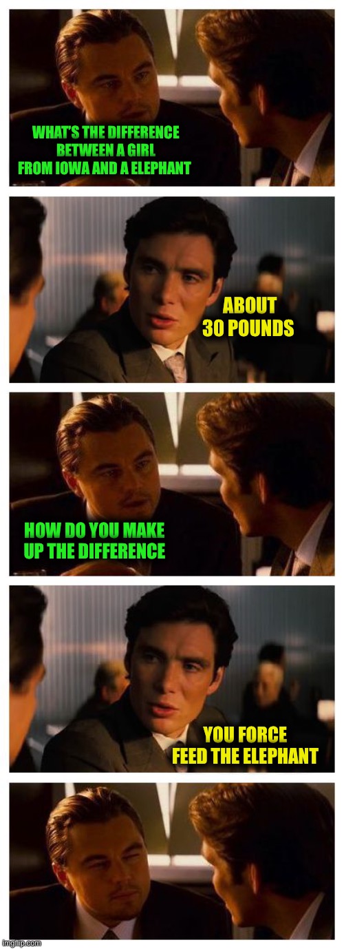 Leonardo Inception (Extended) | WHAT’S THE DIFFERENCE BETWEEN A GIRL FROM IOWA AND A ELEPHANT; ABOUT 30 POUNDS; HOW DO YOU MAKE UP THE DIFFERENCE; YOU FORCE FEED THE ELEPHANT | image tagged in leonardo inception extended | made w/ Imgflip meme maker