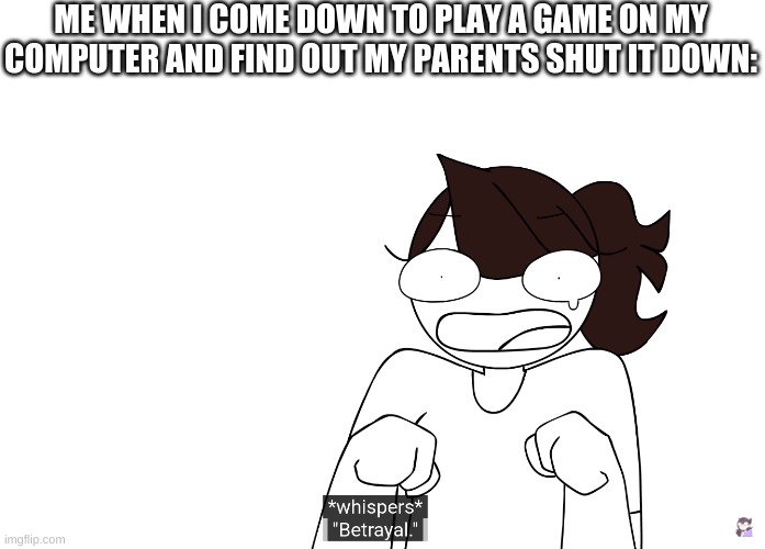 Jaiden Animations meme | ME WHEN I COME DOWN TO PLAY A GAME ON MY COMPUTER AND FIND OUT MY PARENTS SHUT IT DOWN: | image tagged in funny memes | made w/ Imgflip meme maker