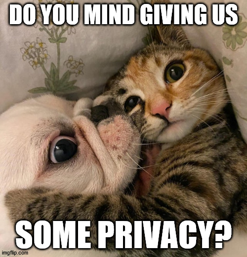 DO YOU MIND GIVING US; SOME PRIVACY? | made w/ Imgflip meme maker