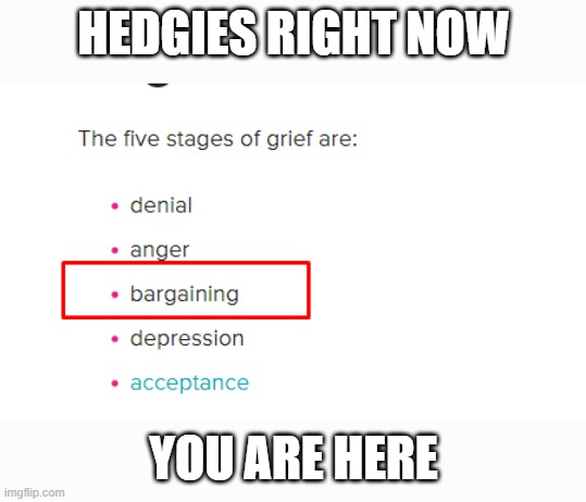 AMC Denial | HEDGIES RIGHT NOW; YOU ARE HERE | made w/ Imgflip meme maker