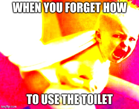 Me IRL | WHEN YOU FORGET HOW; TO USE THE TOILET | image tagged in funny | made w/ Imgflip meme maker