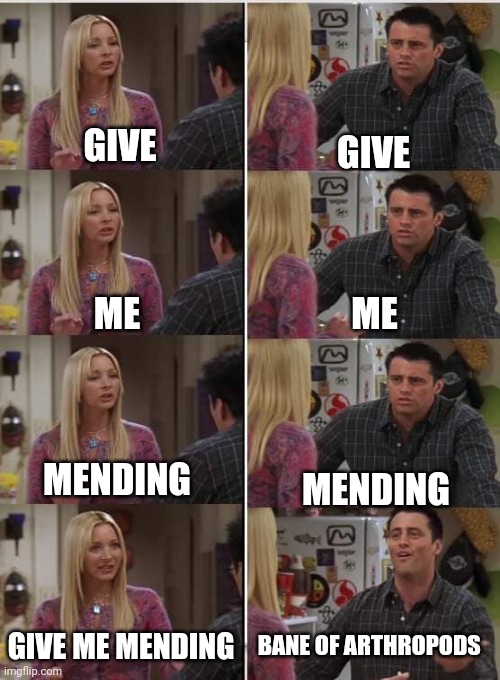 Every villager | GIVE; GIVE; ME; ME; MENDING; MENDING; BANE OF ARTHROPODS; GIVE ME MENDING | image tagged in phoebe joey | made w/ Imgflip meme maker