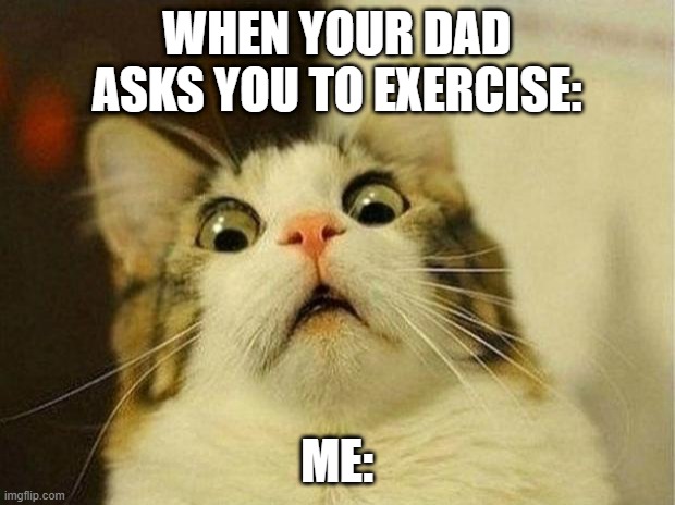 ExErCiSe | WHEN YOUR DAD ASKS YOU TO EXERCISE:; ME: | image tagged in memes,scared cat | made w/ Imgflip meme maker