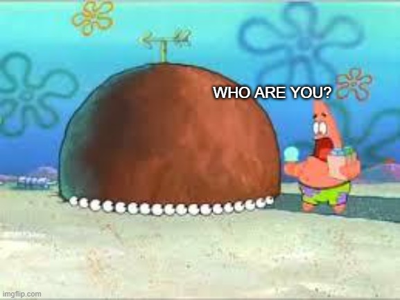 WHO ARE YOU PEOPLE? | WHO ARE YOU? | image tagged in who are you people | made w/ Imgflip meme maker