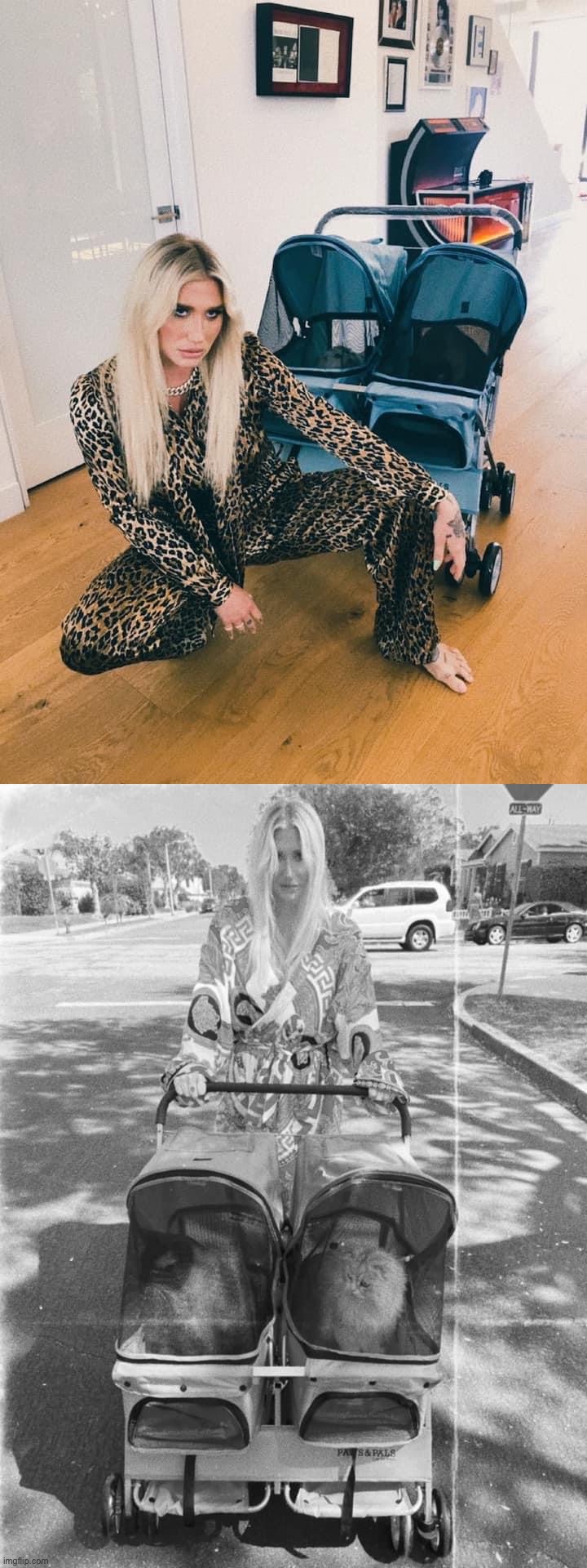 [Shitposting in effort to lower dramatic tensions, Part the Second: Cat Lady Ke$ha] | image tagged in cat lady kesha | made w/ Imgflip meme maker