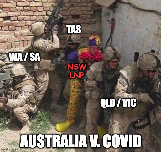 clown military unit | TAS; WA / SA; NSW
LNP; QLD / VIC; AUSTRALIA V. COVID | image tagged in clown military unit | made w/ Imgflip meme maker