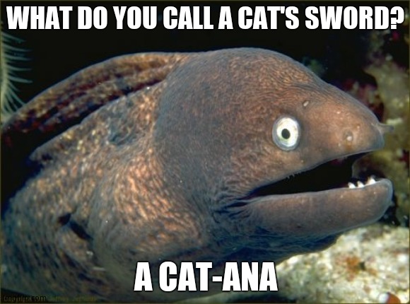 Bad Joke Eel | WHAT DO YOU CALL A CAT'S SWORD? A CAT-ANA | image tagged in memes,bad joke eel | made w/ Imgflip meme maker