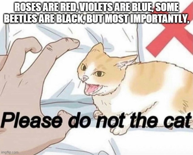 Please do not the cat | ROSES ARE RED, VIOLETS ARE BLUE, SOME BEETLES ARE BLACK, BUT MOST IMPORTANTLY, | image tagged in please do not the cat | made w/ Imgflip meme maker