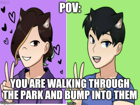 Bored plz help | POV:; YOU ARE WALKING THROUGH THE PARK AND BUMP INTO THEM | image tagged in not a meme | made w/ Imgflip meme maker