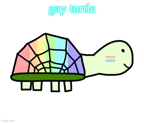 gay turtle | made w/ Imgflip meme maker