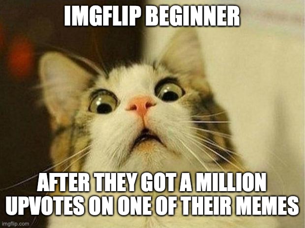 Scared Cat Meme | IMGFLIP BEGINNER; AFTER THEY GOT A MILLION UPVOTES ON ONE OF THEIR MEMES | image tagged in memes,scared cat | made w/ Imgflip meme maker