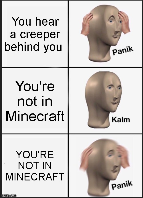 *sssssssssssssssssssssssssssssssssssss* | You hear a creeper behind you; You're not in Minecraft; YOU'RE NOT IN MINECRAFT | image tagged in memes,panik kalm panik | made w/ Imgflip meme maker