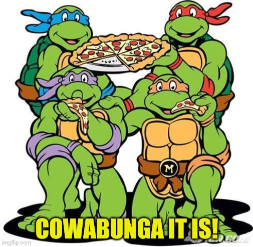 TMNT Pizza Party | COWABUNGA IT IS! | image tagged in tmnt pizza party | made w/ Imgflip meme maker