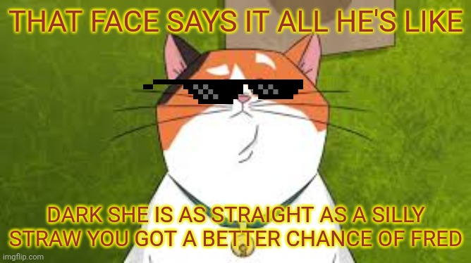 Serious cat's face | THAT FACE SAYS IT ALL HE'S LIKE; DARK SHE IS AS STRAIGHT AS A SILLY STRAW YOU GOT A BETTER CHANCE OF FRED | image tagged in funny memes | made w/ Imgflip meme maker