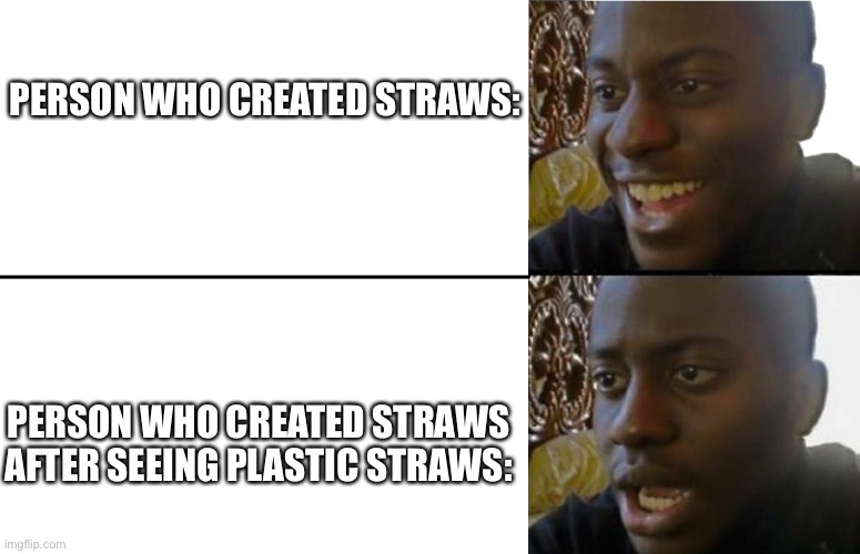 Straws | PERSON WHO CREATED STRAWS:; PERSON WHO CREATED STRAWS AFTER SEEING PLASTIC STRAWS: | image tagged in straws,plastic straws,bruh,rip turtles | made w/ Imgflip meme maker