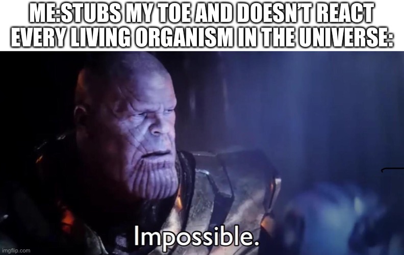 Thanos Impossible | ME:STUBS MY TOE AND DOESN’T REACT

EVERY LIVING ORGANISM IN THE UNIVERSE: | image tagged in thanos impossible | made w/ Imgflip meme maker