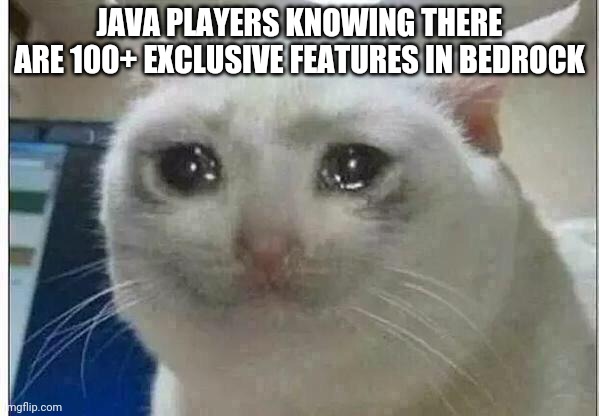 crying cat | JAVA PLAYERS KNOWING THERE ARE 100+ EXCLUSIVE FEATURES IN BEDROCK | image tagged in crying cat | made w/ Imgflip meme maker