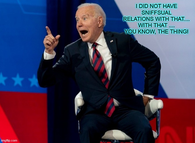 New Template Available: "Joe Biden Has An Aha moment" | I DID NOT HAVE SNIFFSUAL RELATIONS WITH THAT.... WITH THAT .... YOU KNOW, THE THING! | image tagged in joe biden has an aha moment,memes,joe biden,biden,sniff,creepy joe biden | made w/ Imgflip meme maker