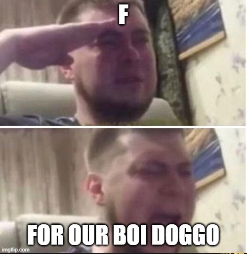 F FOR OUR BOI DOGGO | image tagged in crying salute | made w/ Imgflip meme maker