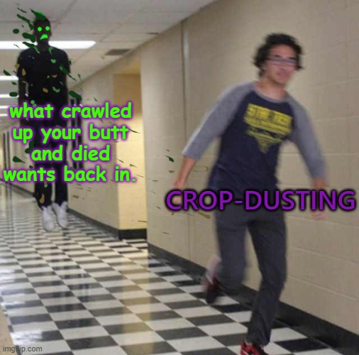 Your Smell Will Find You | what crawled
up your butt
and died wants back in. CROP-DUSTING | image tagged in floating boy chasing running boy,cropdusting | made w/ Imgflip meme maker