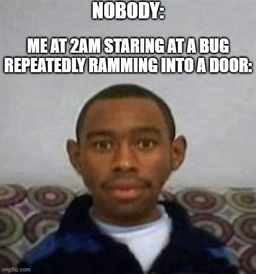 It's 2am I don't know why I am making this.. | NOBODY:; ME AT 2AM STARING AT A BUG REPEATEDLY RAMMING INTO A DOOR: | image tagged in staring | made w/ Imgflip meme maker