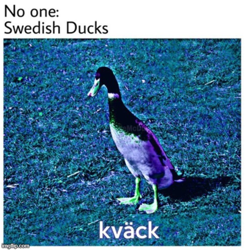 K v ä c k | made w/ Imgflip meme maker