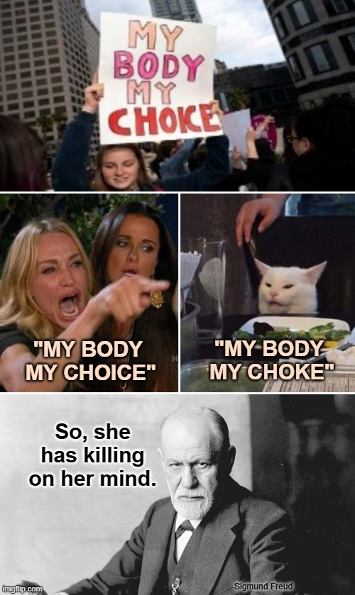 Is it killing another or just part of herself? (Notice that she only missed one space on that sign.) | "MY BODY
 MY CHOICE"; "MY BODY
 MY CHOKE"; So, she has killing on her mind. Sigmund Freud | image tagged in freud,slip,sign fail,abortion,controversial | made w/ Imgflip meme maker