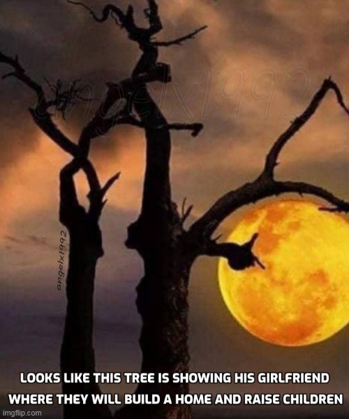 image tagged in trees,dating,girlfriend,house,couple,family | made w/ Imgflip meme maker