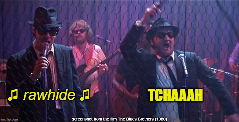 ▬▬ comment specific to meme about a moving frog and the rawhide theme | ♫ rawhide ♫ TCHAAAH screenshot from the film The Blues Brothers (1980) | image tagged in comment | made w/ Imgflip meme maker