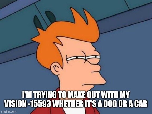 Futurama Fry Meme | I'M TRYING TO MAKE OUT WITH MY VISION -15593 WHETHER IT'S A DOG OR A CAR | image tagged in memes,futurama fry | made w/ Imgflip meme maker