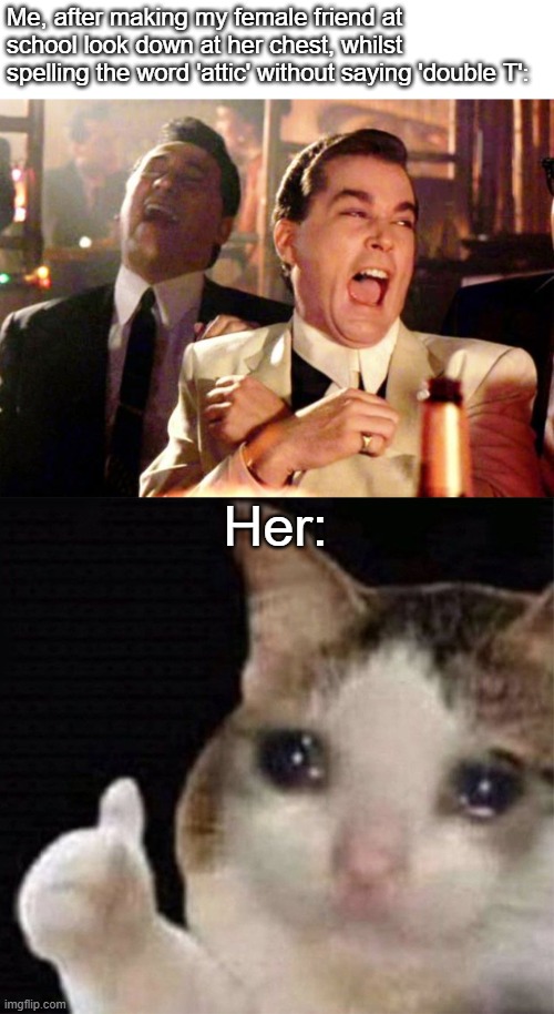 I also did the #susanalbumparty joke on her. |  Me, after making my female friend at school look down at her chest, whilst spelling the word 'attic' without saying 'double T':; Her: | image tagged in goodfellas laugh,sad cat thumbs up | made w/ Imgflip meme maker