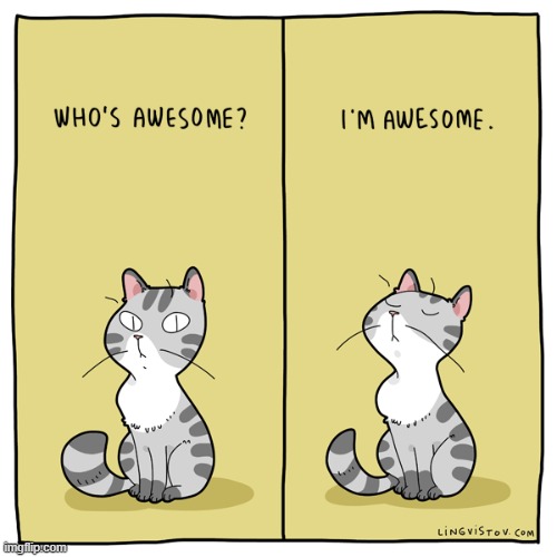 A Cat's Way Of Thinking | image tagged in memes,comics,cats,guess who,awsome,me | made w/ Imgflip meme maker