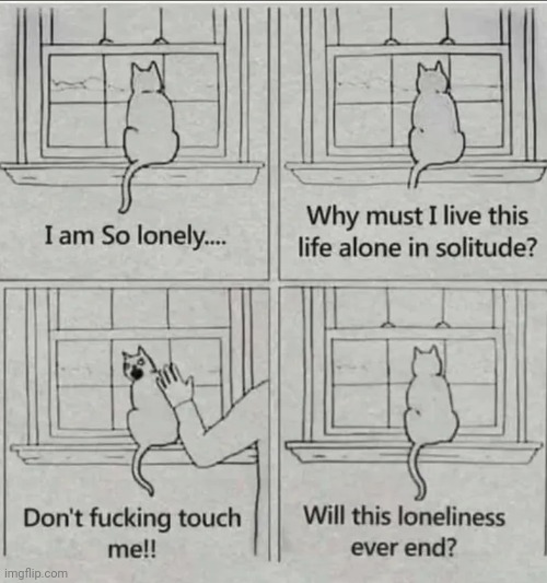 TYPICAL CAT | image tagged in cats,funny cats,comics/cartoons | made w/ Imgflip meme maker