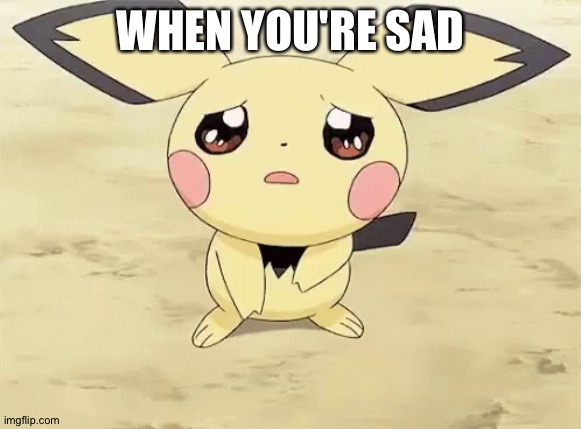 Sad pichu | WHEN YOU'RE SAD | image tagged in sad pichu | made w/ Imgflip meme maker