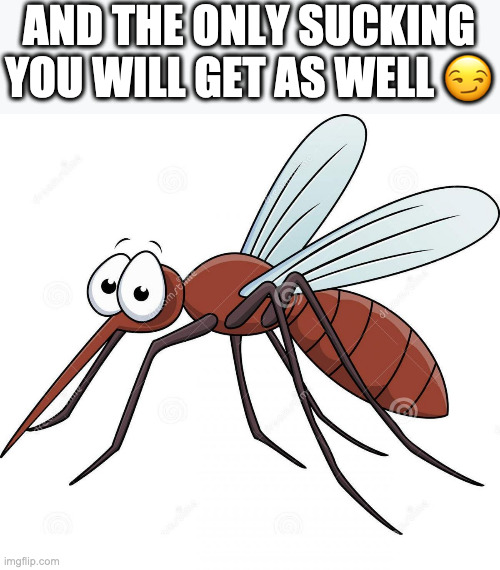 cute mosquito | AND THE ONLY SUCKING YOU WILL GET AS WELL ? | image tagged in cute mosquito | made w/ Imgflip meme maker