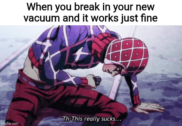 Gotta make sure it gives the good succ | When you break in your new vacuum and it works just fine | image tagged in guido mista this really sucks,jojo,jojo's bizarre adventure,jjba,golden wind,vacuum | made w/ Imgflip meme maker
