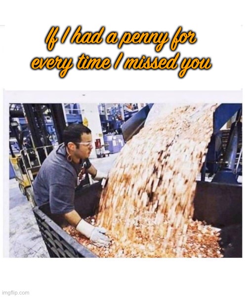 Pennies for you | If I had a penny for every time I missed you | image tagged in missing,missing you | made w/ Imgflip meme maker
