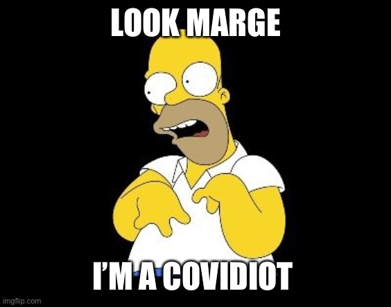 Look Marge | LOOK MARGE; I’M A COVIDIOT | image tagged in look marge | made w/ Imgflip meme maker
