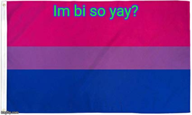 Im bi so yay? | Im bi so yay? | image tagged in bisexual flag | made w/ Imgflip meme maker